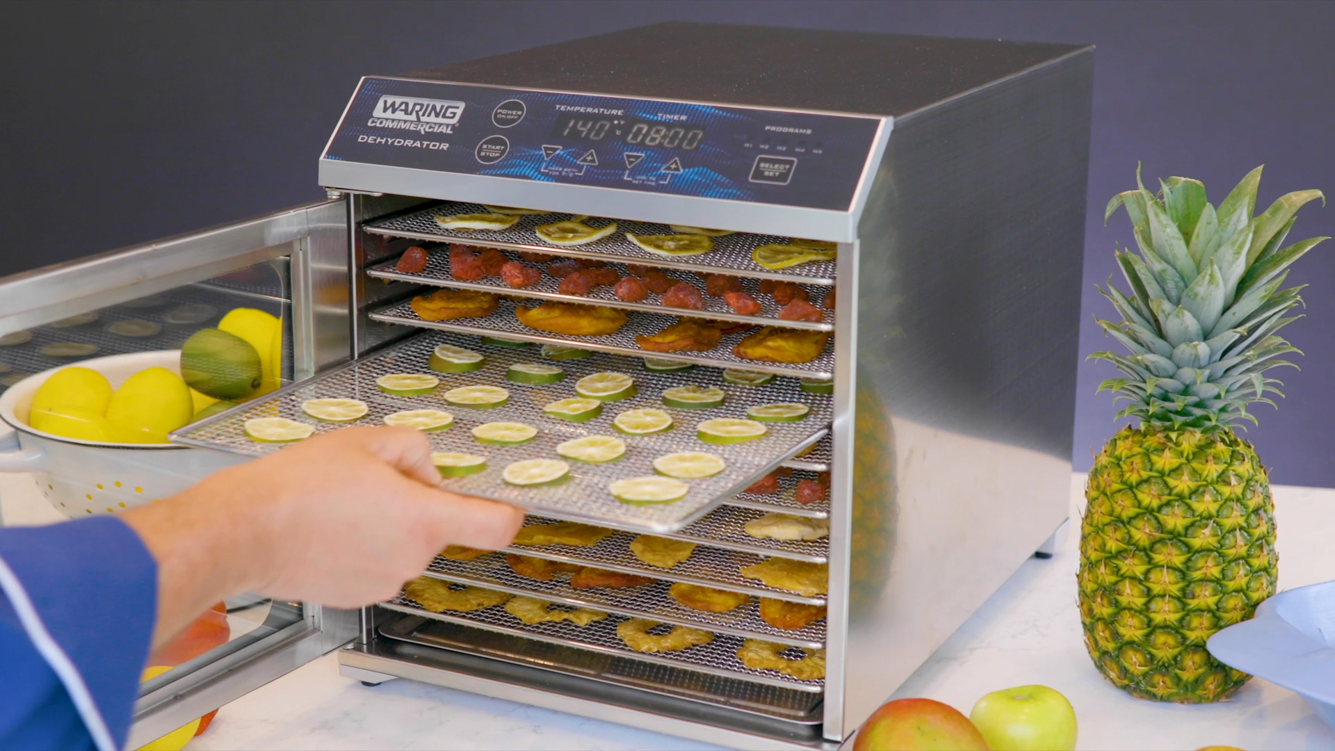 10-Tray Dehydrator